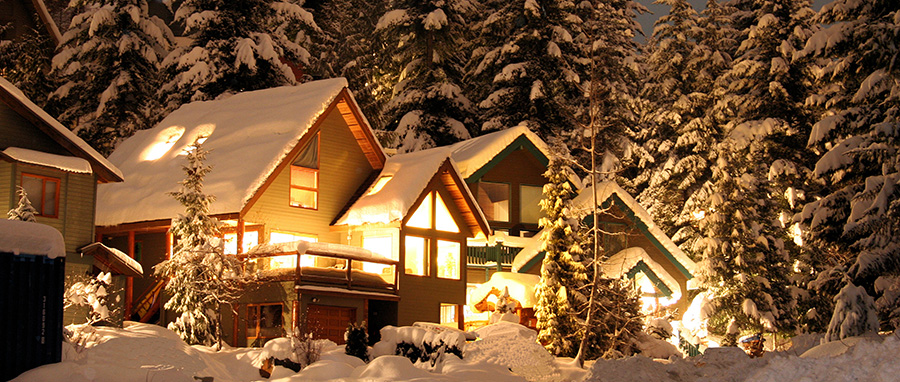 How to Winterize Your Cabin Against Pests in Spokane WA - Eden Advanced Pest Technologies