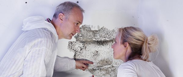 A Guide to Wood Destroying Insect (WDI) Reports