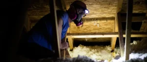 Eden Advanced Pest Technologies technician removing old insulation from Spokane home