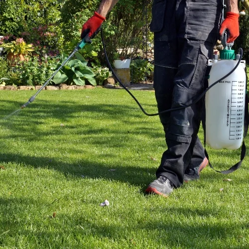 Pest control technician spraying well manicured lawn