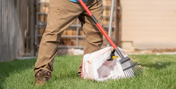 Professional scooping dog waste from a residential lawn
